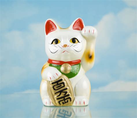 lucky cat photo|More.